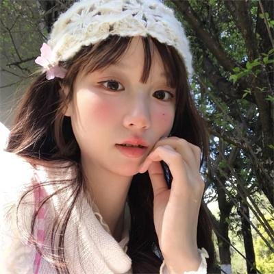 天鹅公主的圣诞节